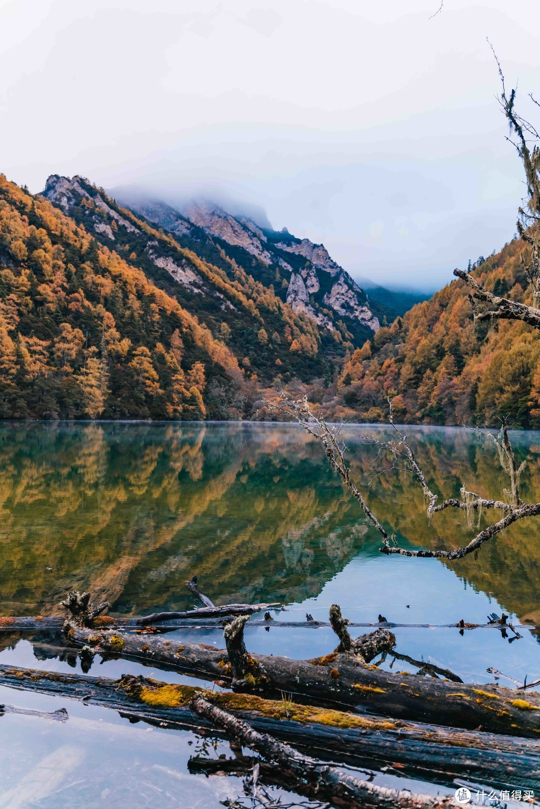 赏雪山秋日胜景—昌坝海露营之旅～