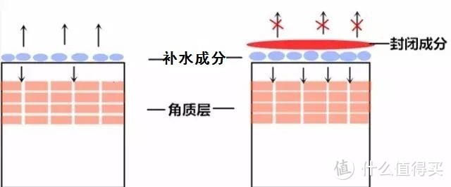 直男大讲堂丨保湿补水产品都一样？拜托，别稀里糊涂毁了自己的脸