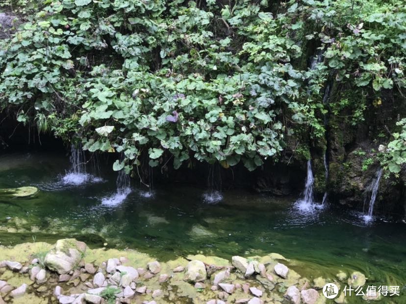 八泉都是从山岩石峰中经过层层过滤流到小潭中