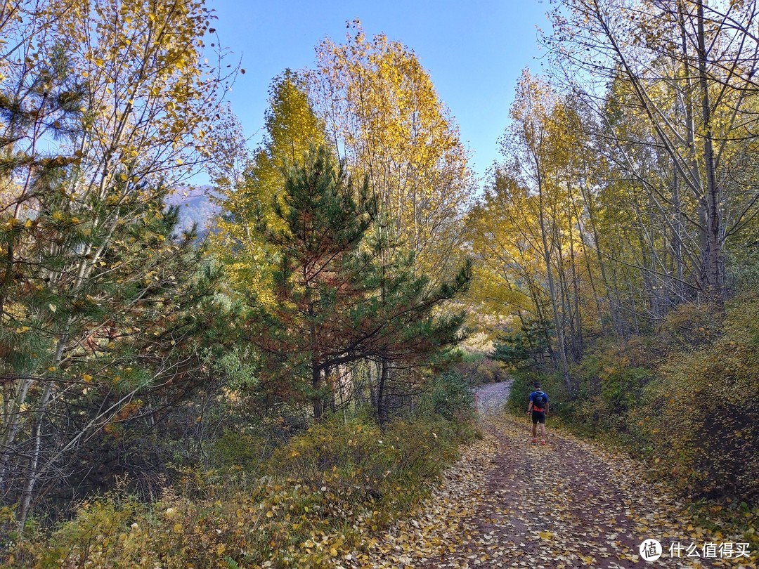 记录我的第一场越野跑，龙城100赛事60km项目组