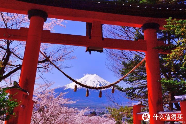 日本签证电调怎么处理？这些问题不说清楚，你的日本签证很危险