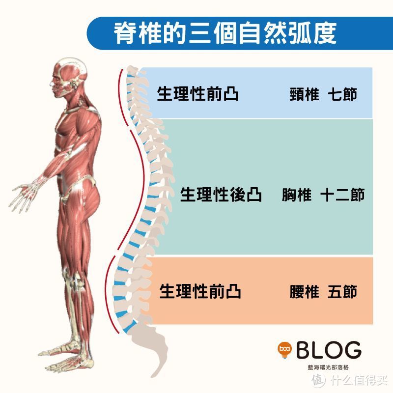 微博网红强推、某宝销售 1. 5万单的强势爆款，分分钟毁了你的肋骨