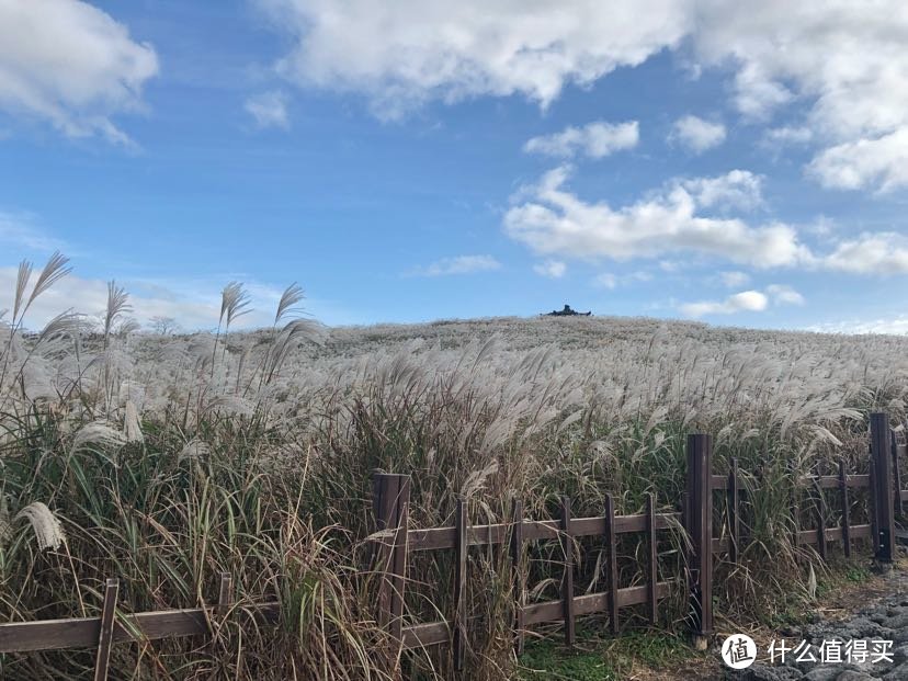 10月的济州岛之行