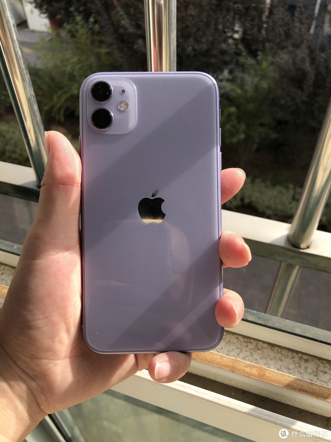 iphone11紫色上手体验以及信号等问题