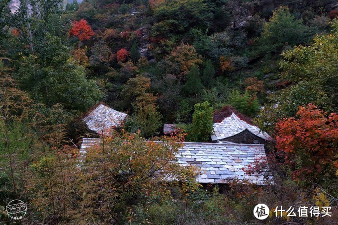 听我的，这个红叶季，一定要去坡峰岭过《向往的生活》