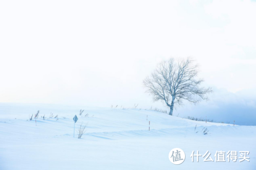 【攻略】冬日里的奇幻旅行：体验北海道的冰与火之歌