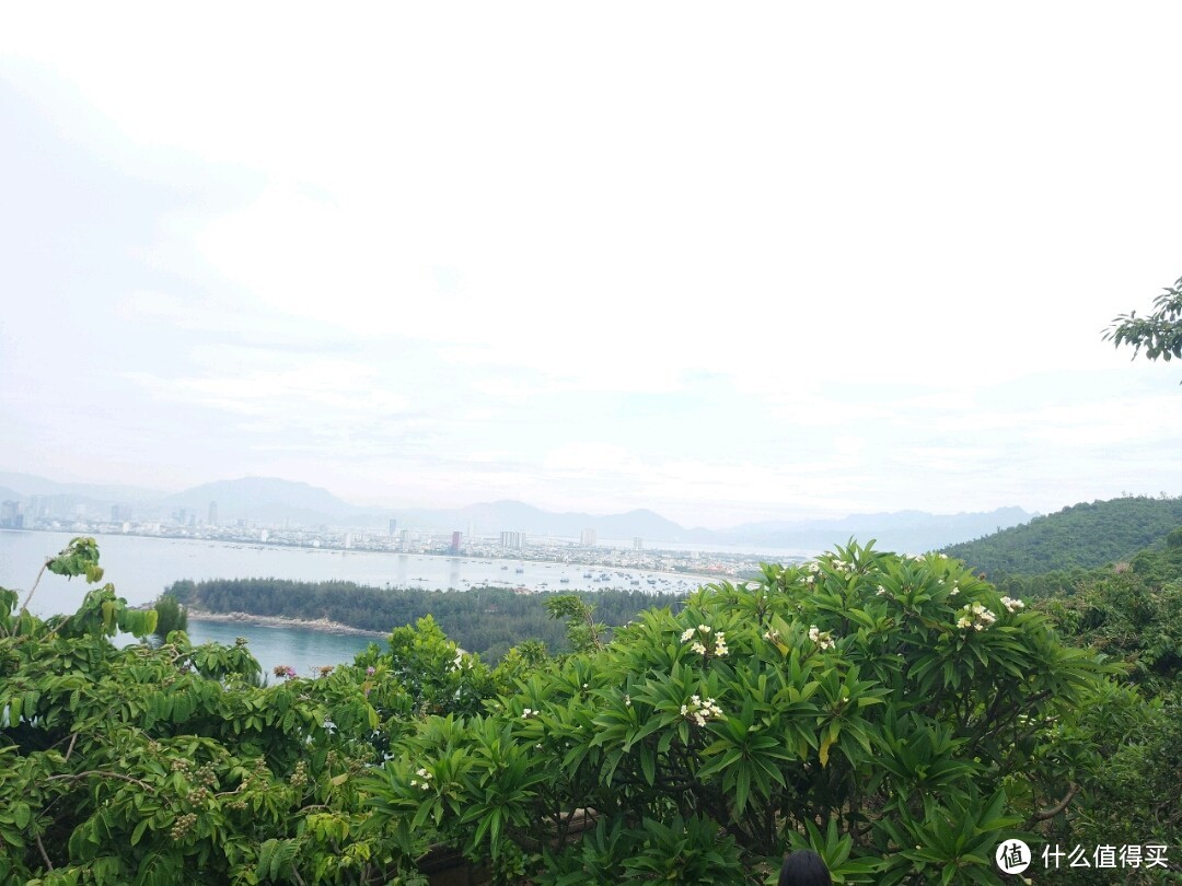 山茶半岛是一座岛屿，距越南岘港市中心13公里，长15公里，最宽处5公里，最窄处1公里，最高峰696米，有原始林4370公顷。