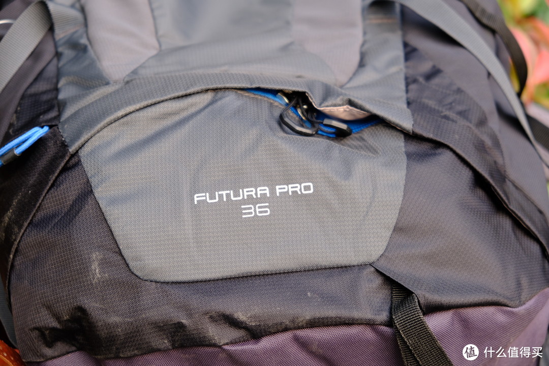 PRO的新定义Deuter多特FuturaPRO福特拉36L户外登山包