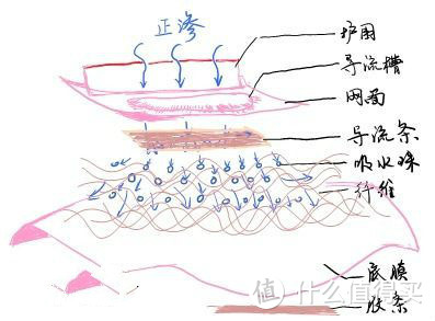 卫生巾逐层构造（网图侵删）