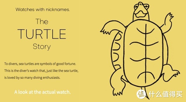 精工手表的故事（三）：“乌龟（国内通常叫做鲍鱼）”