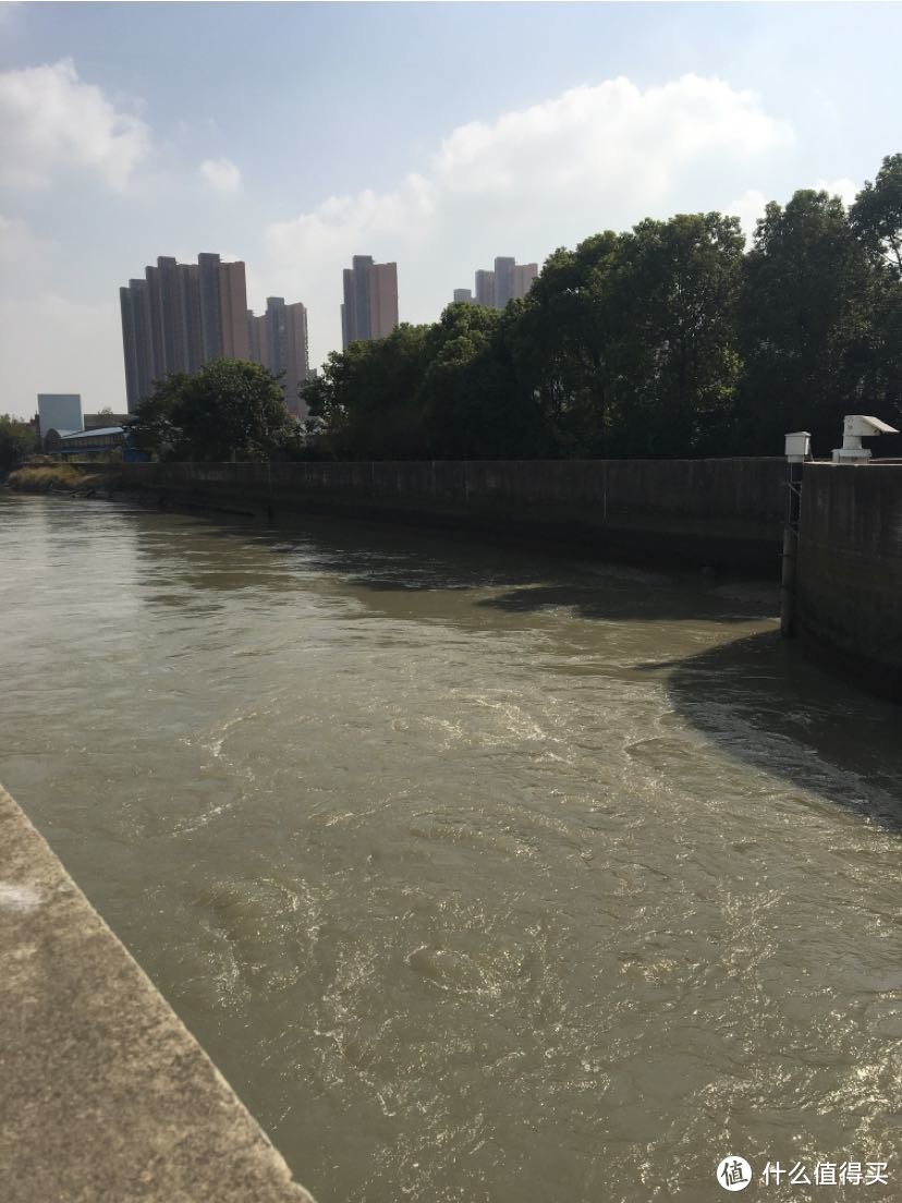 在黄浦江水中钓鱼（海中垂钓江里捞鱼）海水退潮河道捞鱼来看大叔捞鱼快乐！