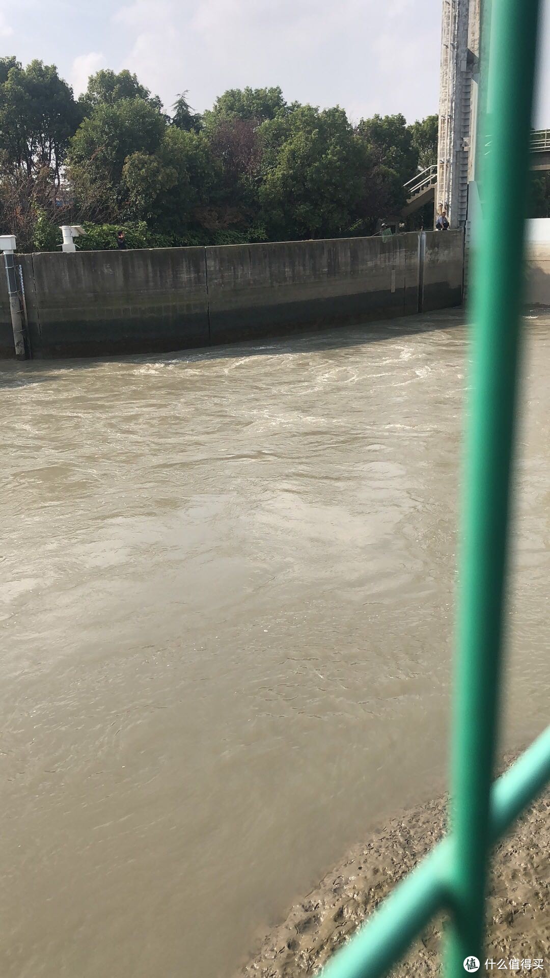 在黄浦江水中钓鱼（海中垂钓江里捞鱼）海水退潮河道捞鱼来看大叔捞鱼快乐！