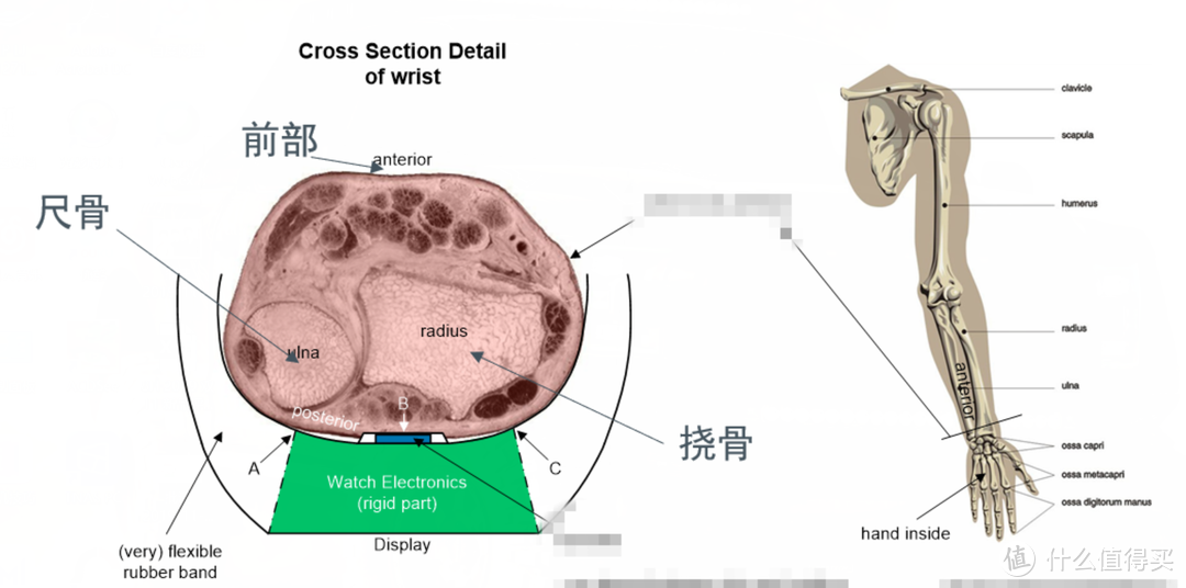 给自己的身体提个醒，华硕VivoWatch健康手表体验