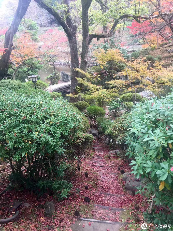 下一站 和歌山 篇六 日本赏红叶的好去处 和歌山城 国内自由行 什么值得买