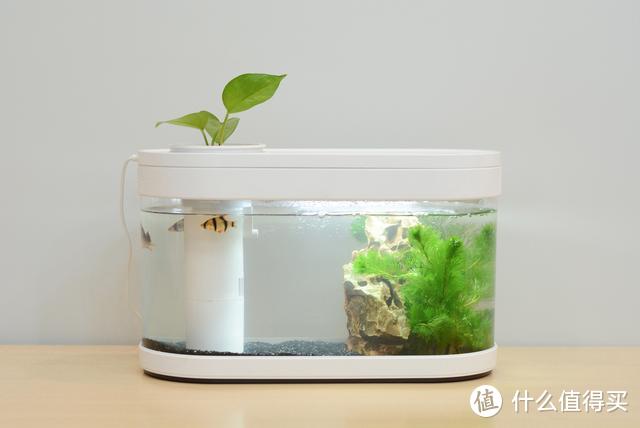 小米有品新款懒人鱼缸：自动换水，鱼植两用，再懒也可以放心养鱼