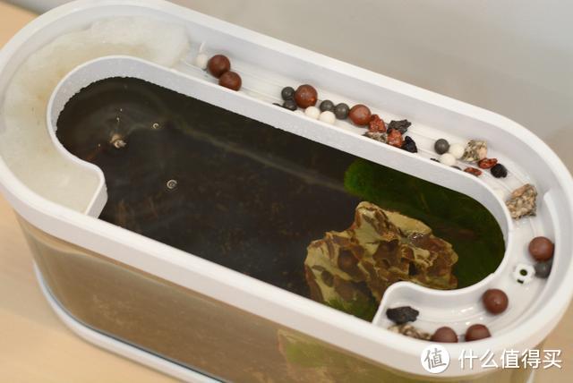 小米有品新款懒人鱼缸：自动换水，鱼植两用，再懒也可以放心养鱼