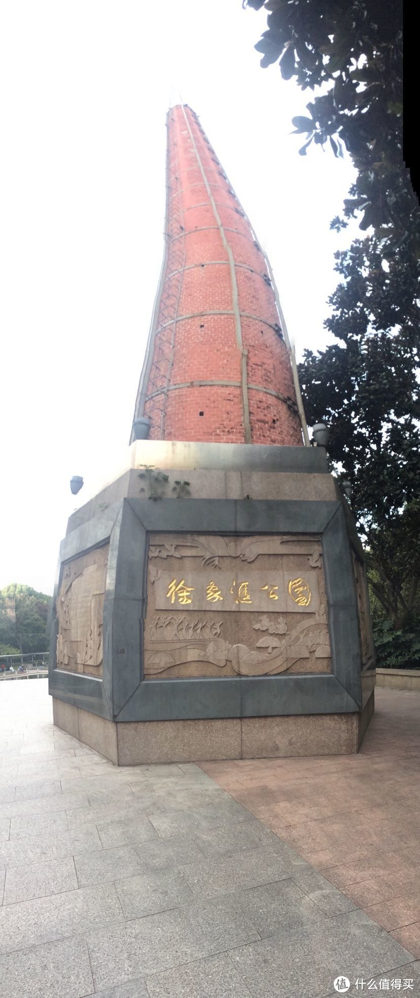 徐家汇公园（这座公园鸟语花香，就在徐家汇正中央）人与黑天鹅自然和谐相处