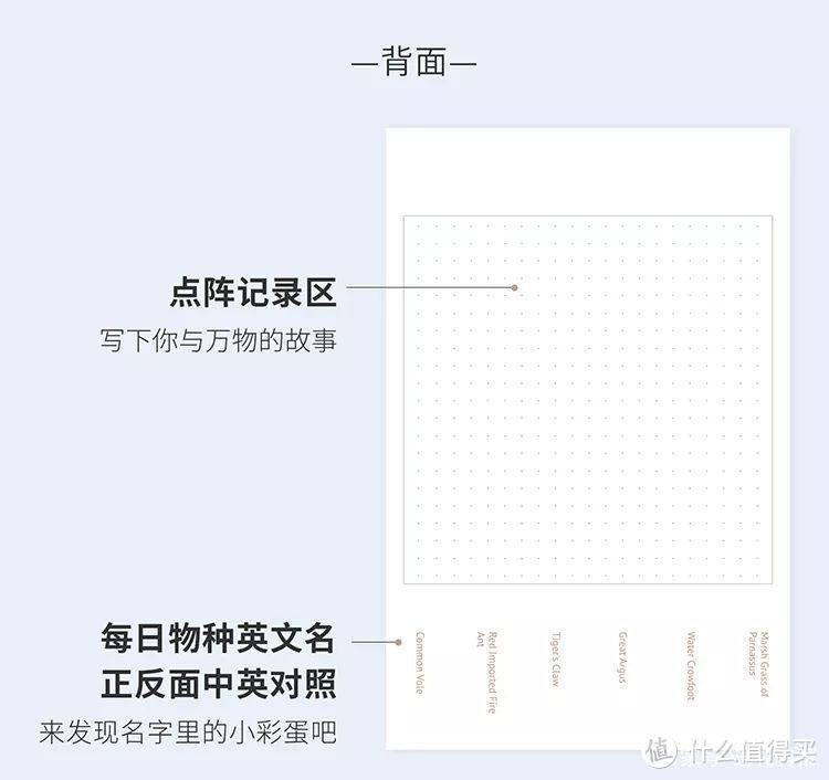 全网最有脑洞的2020年日历都在这里了！送人送自己都可以