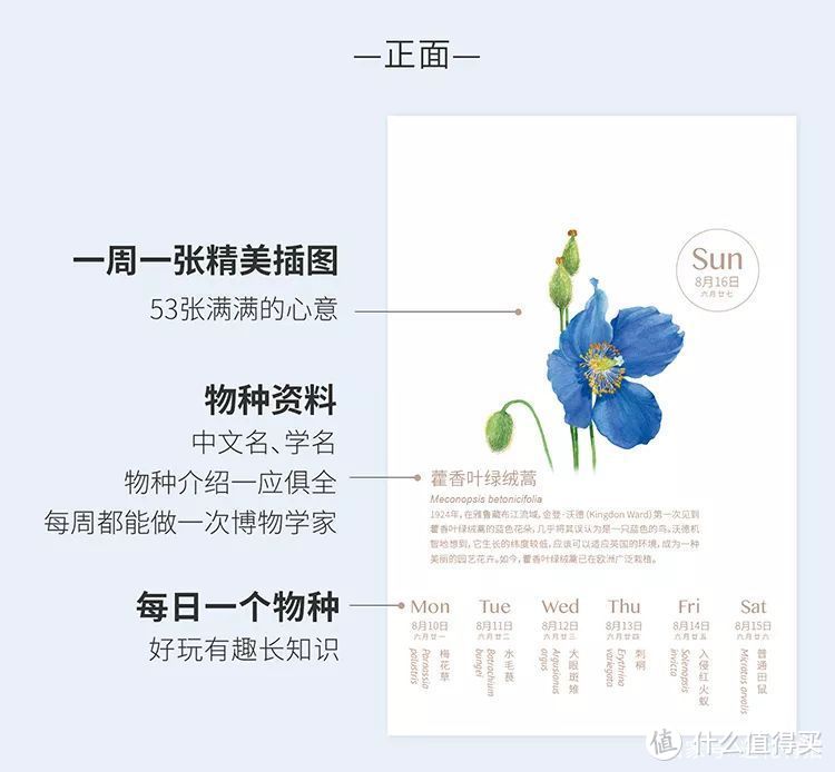 全网最有脑洞的2020年日历都在这里了！送人送自己都可以