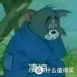 买了就后悔  双十一太难了...