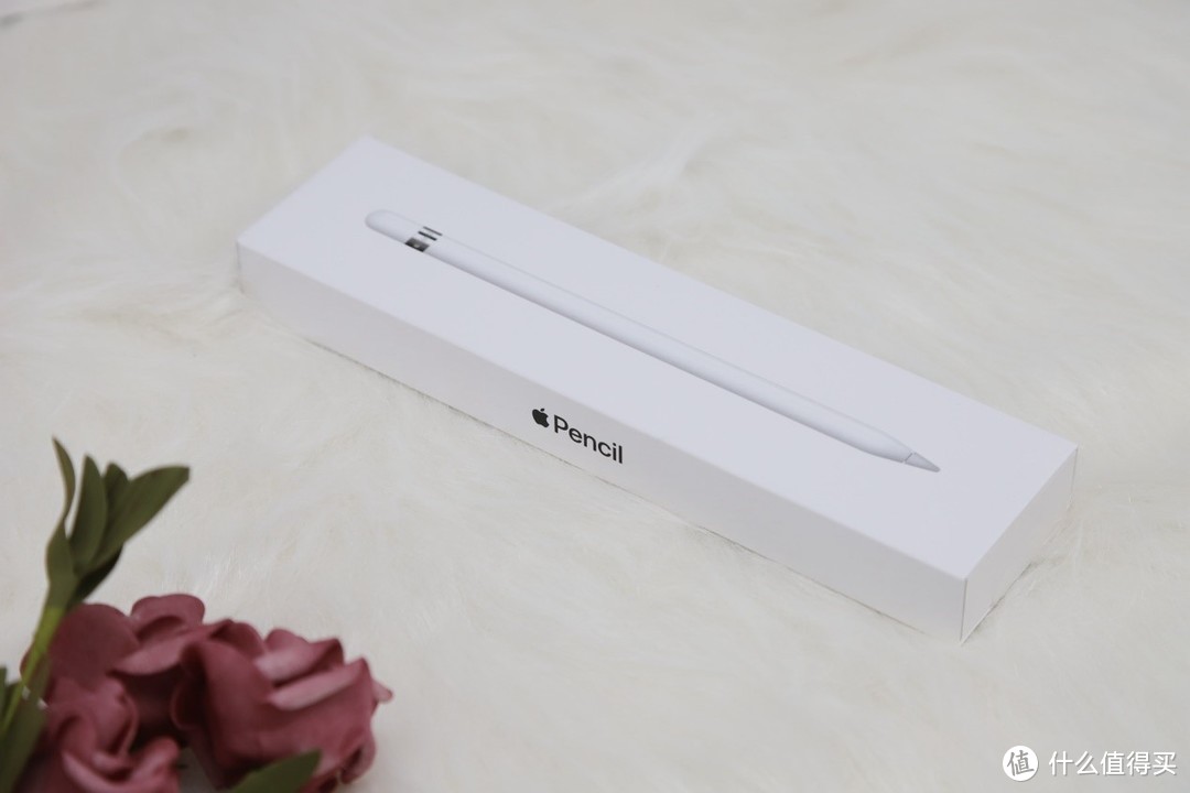 价格又低又好用，工作娱乐两开花，2019年新款Apple iPad平板全套开箱