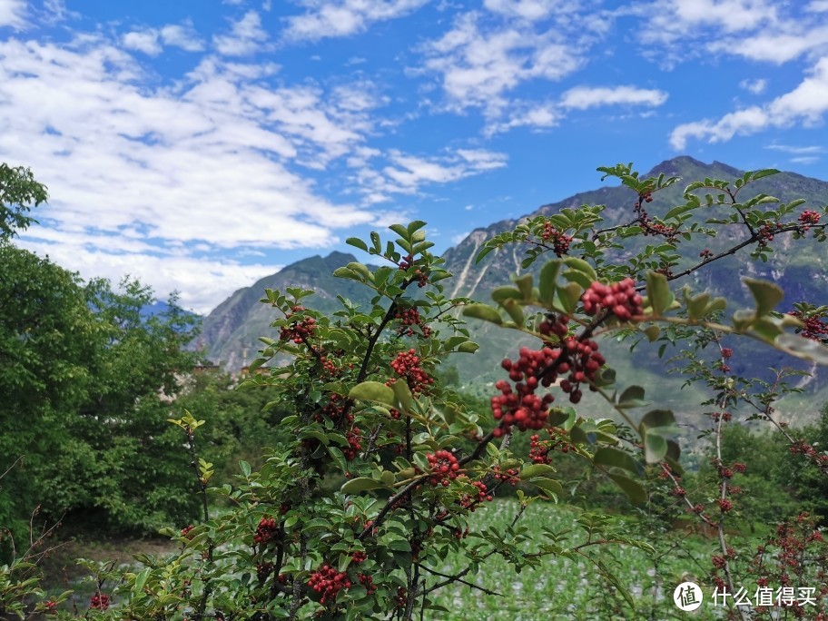 不完美的川西之旅