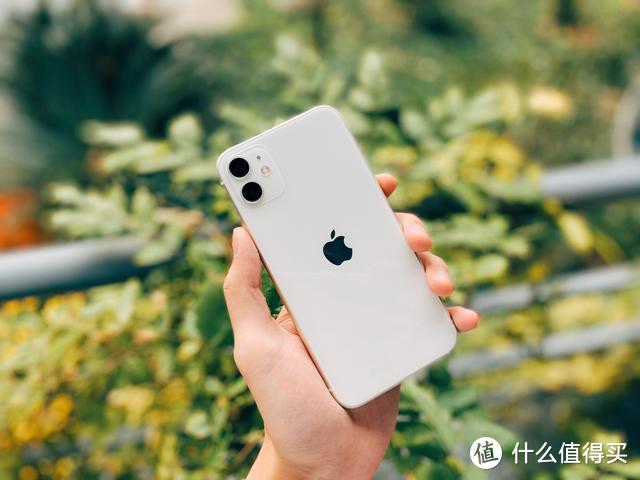 iPhone 11拍照测评：忘记手中的器材 专注于拍摄