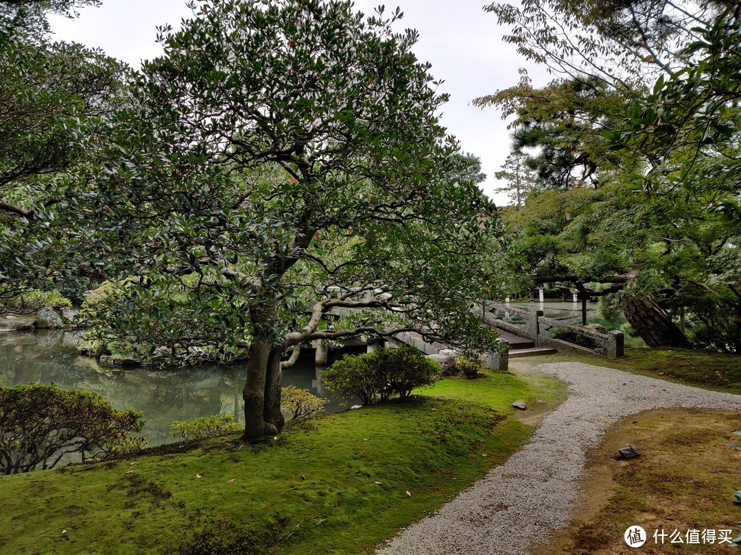 背包日本游-从关西到东京，青旅、夜间大巴和精酿酒吧