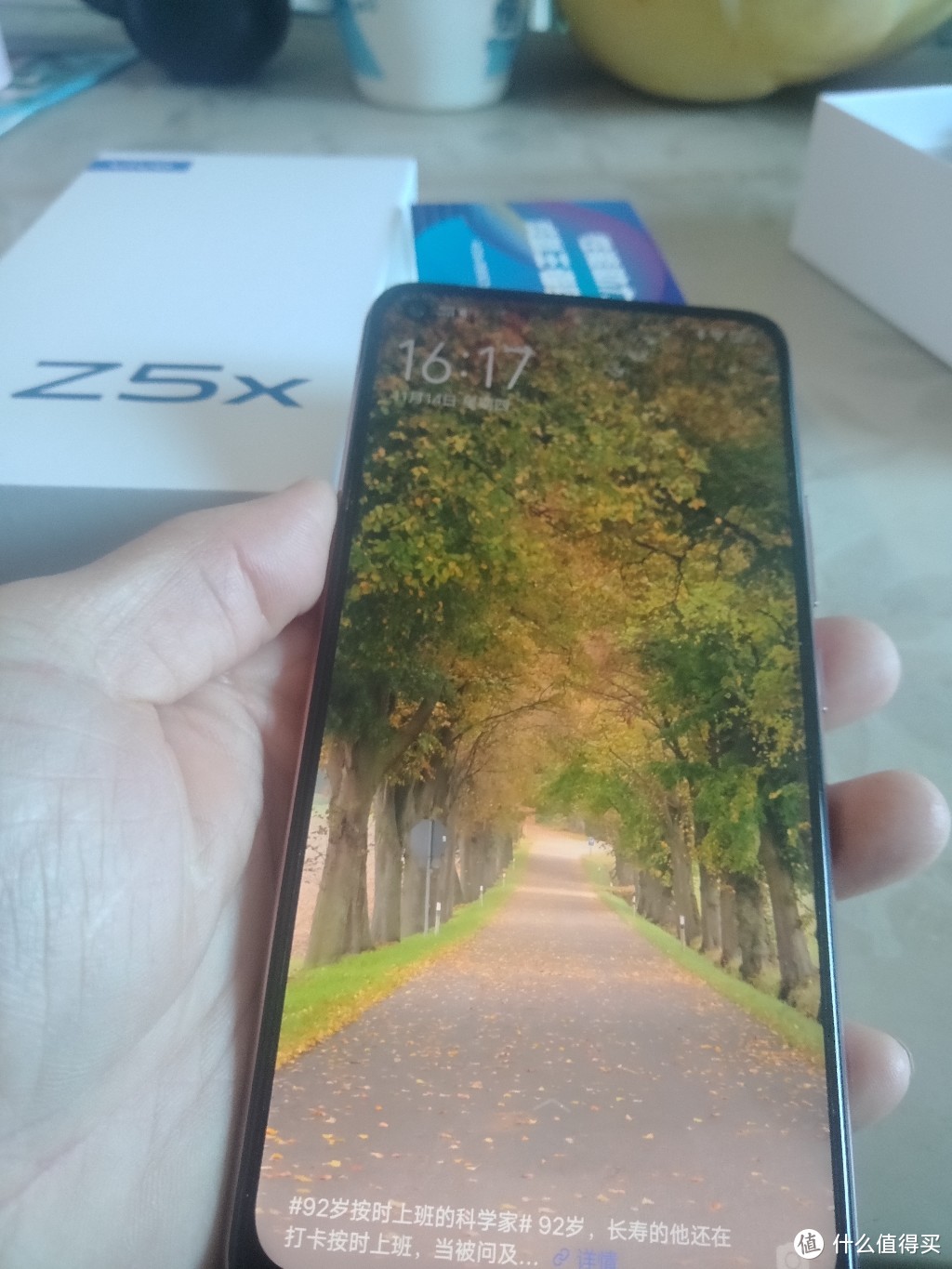 双11等等党最后的Vivo z 5 x