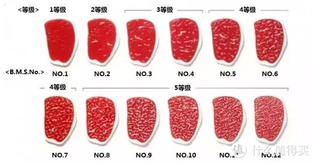 牛排指南 | 做难吃容易做好吃难，今天教你如何做出一份色香味俱全的牛排