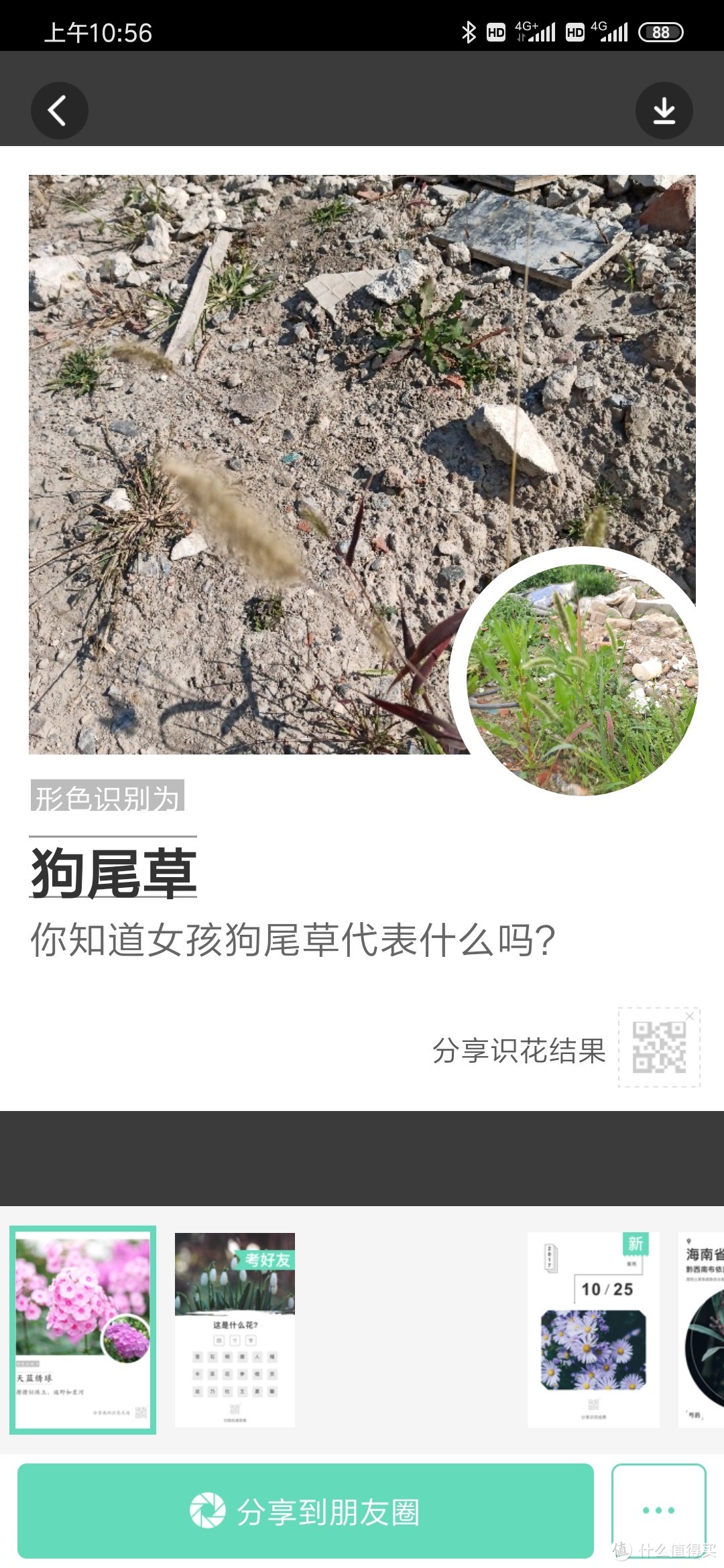 100块的无人机飞丢以后（看路边荒野地的花花草草）我是如何找不回来的？