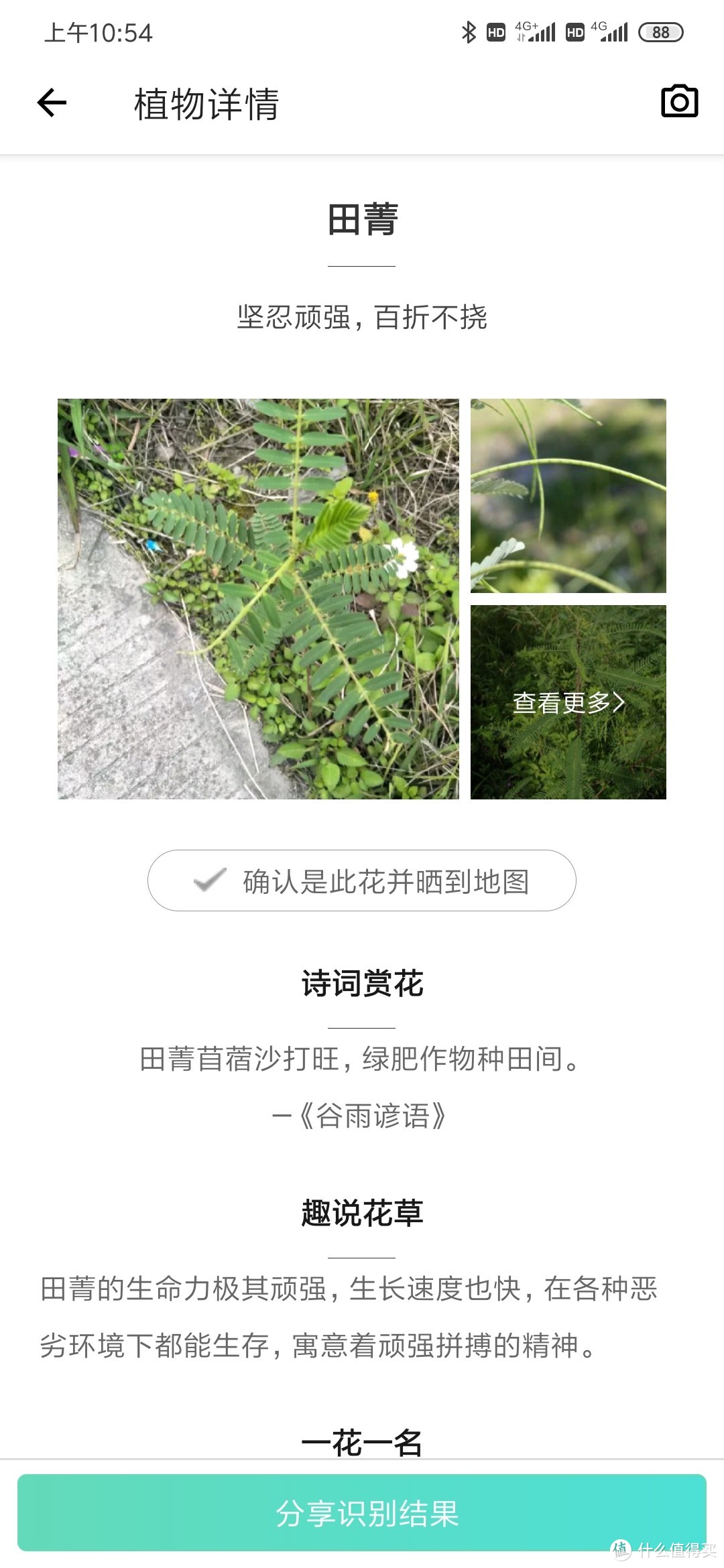 100块的无人机飞丢以后（看路边荒野地的花花草草）我是如何找不回来的？