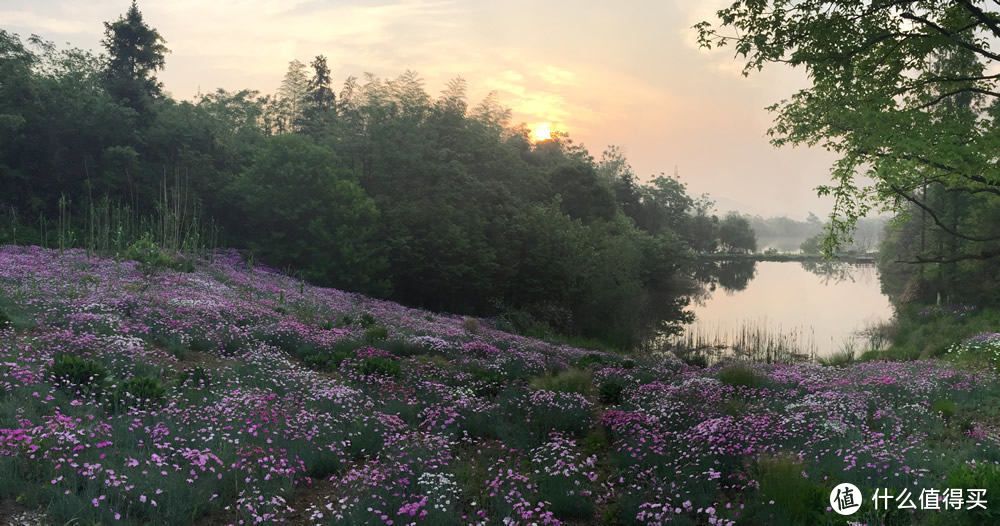 网图 夏天