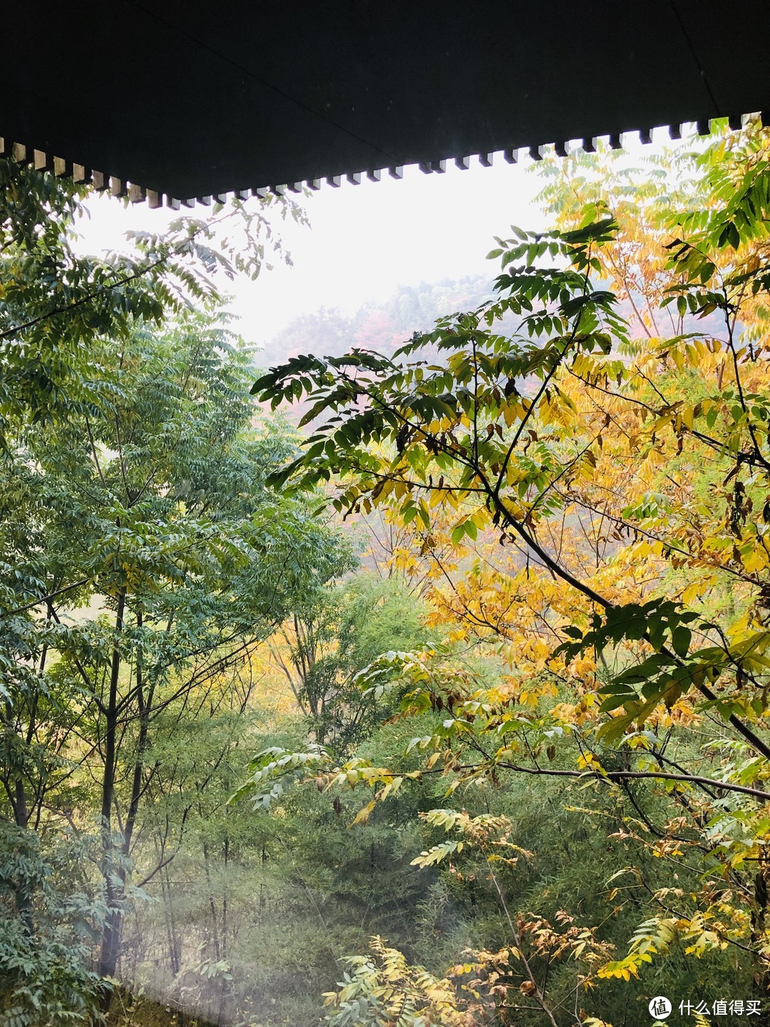 山野-温泉 深秋季拔草美岕