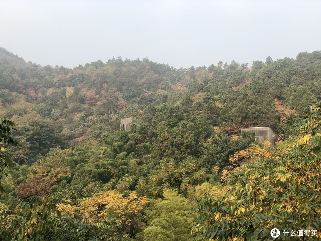 山野-温泉 深秋季拔草美岕