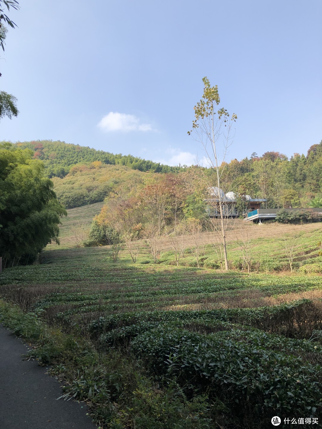 山野-温泉 深秋季拔草美岕