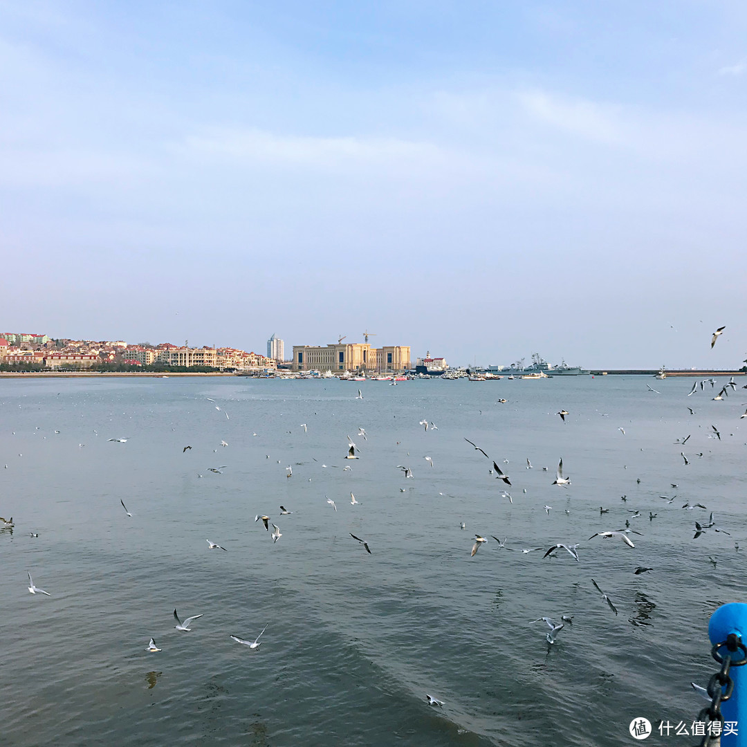 纯干货 | 想来青岛旅游的一定要看，吃住行给你安排的明明白白