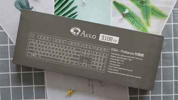 Akko 3108V2灰鹦鹉机械键盘评测Akko 3108V2机械键盘开(键位|脚撑|轴体|键帽|手感)