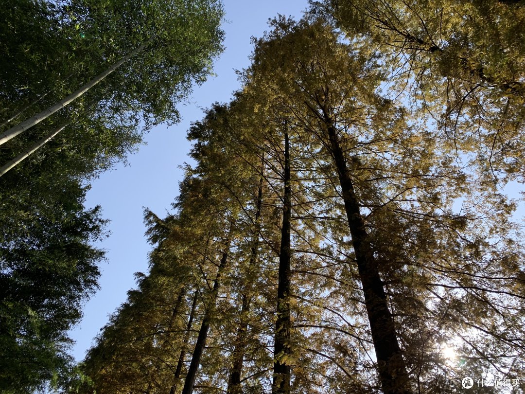 吐血推荐！小米手表，可不仅仅是好看这么简单！