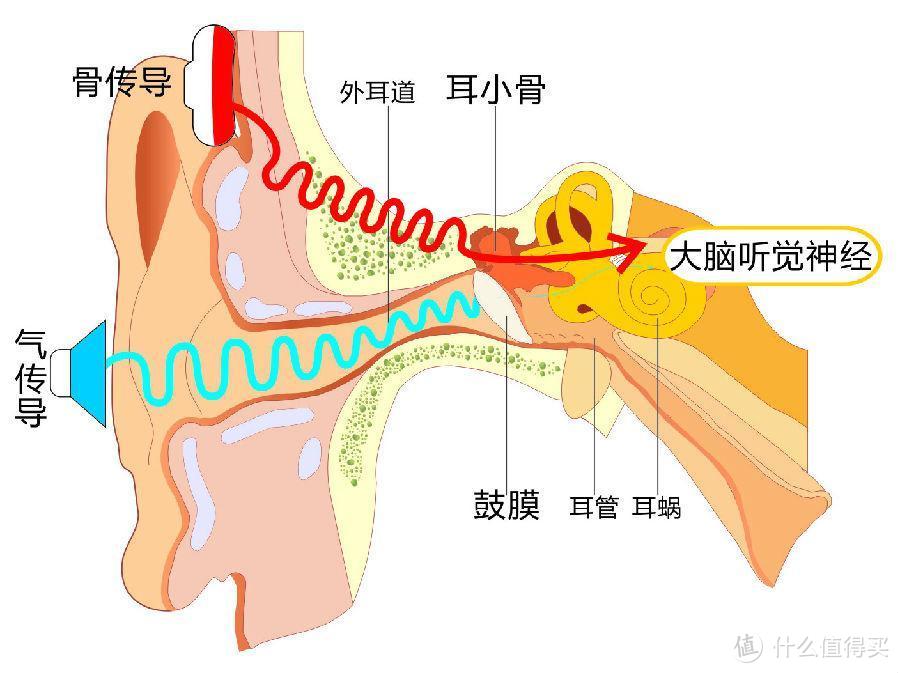 疾风少年南卡骨传导耳机：让运动更轻松畅快