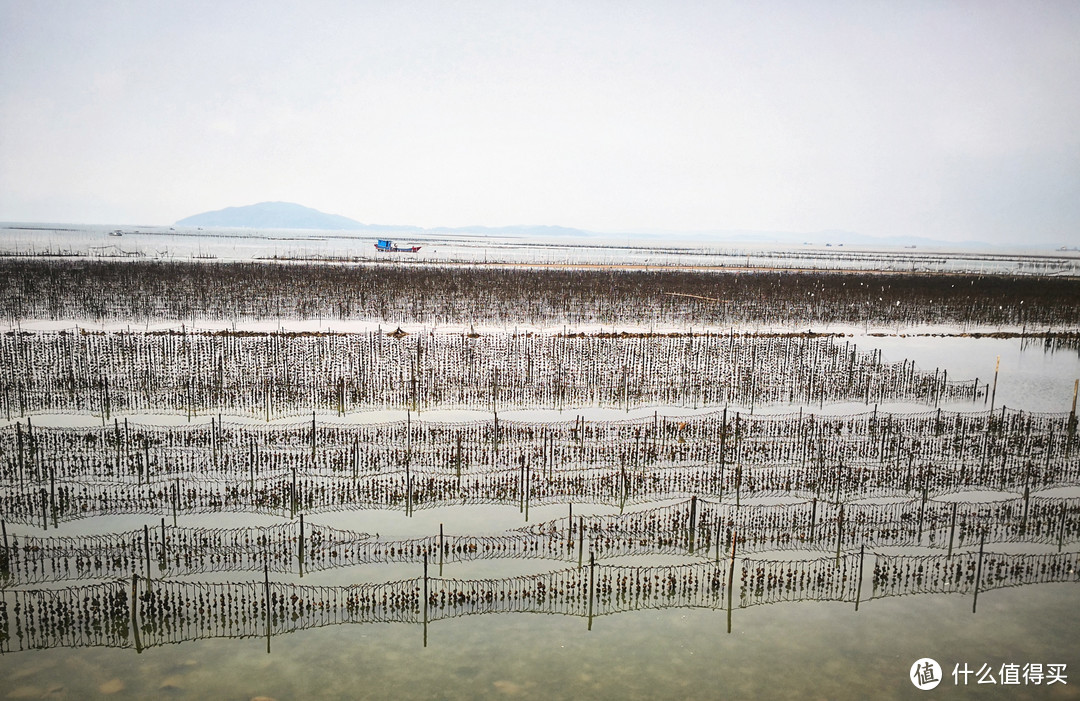 “海上牧场”