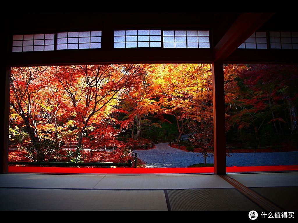 【攻略】四季流转，在秋季的京都遇见红叶狩
