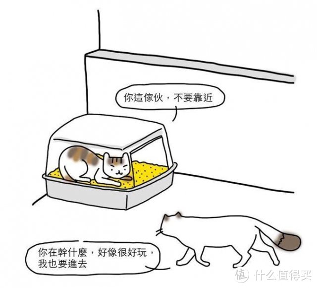 铲屎官必读！掳获猫主子的装修设计四大点！