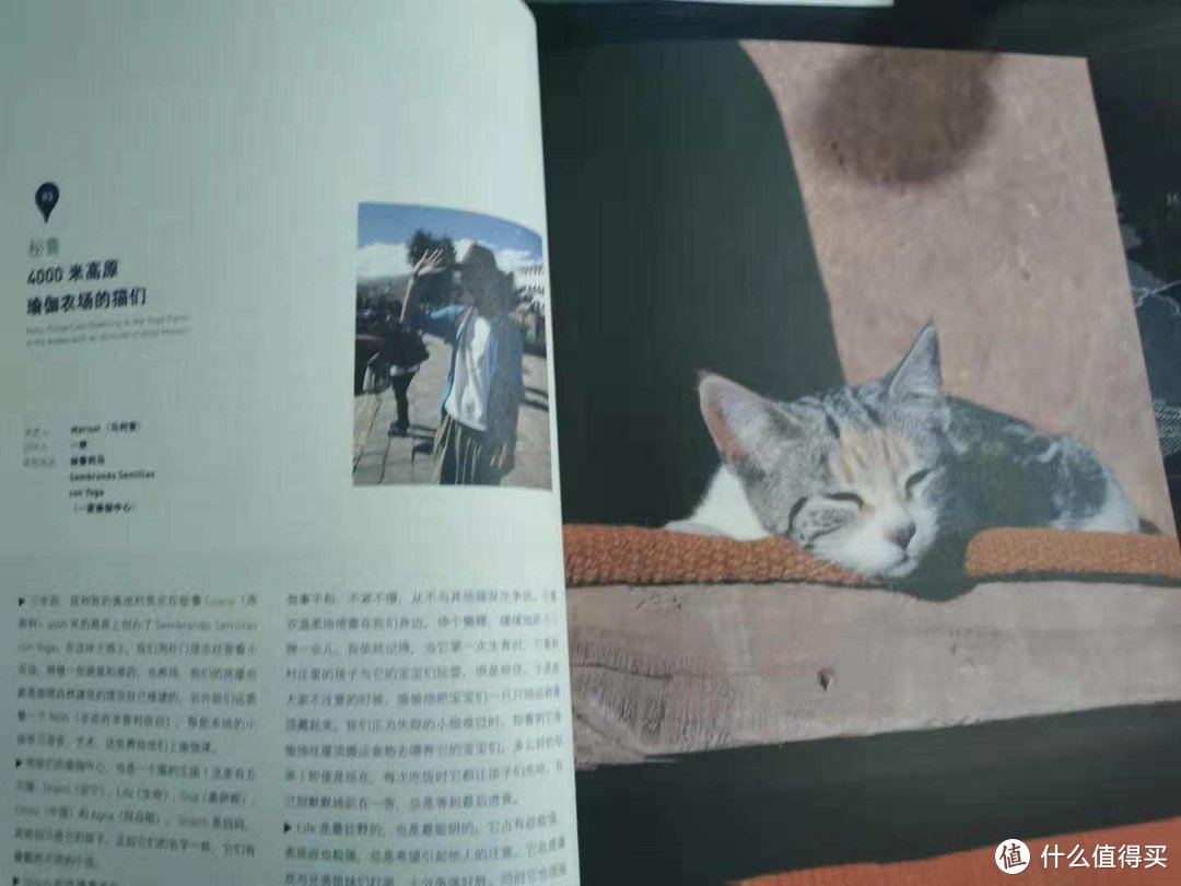 随便写写我在转转买的书—想多方面涉猎的最好途径之一