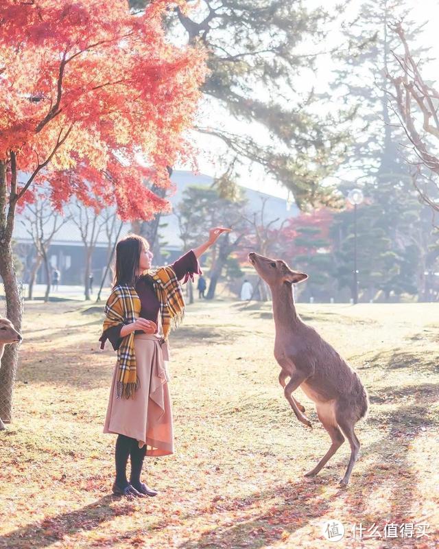 日本旅行穿搭Ⅱ—红叶季怎么穿？