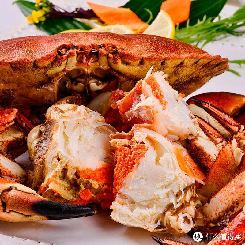 食材 | 面包蟹：北海有蟹，其名黄金，形如面包！