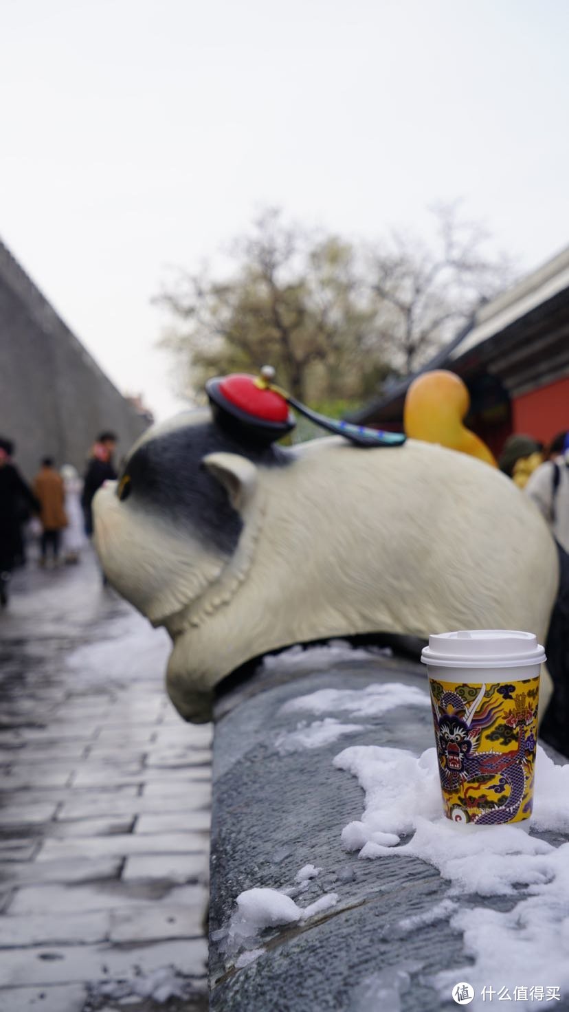 雪后的北京