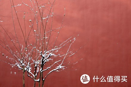 北京冬天值得推荐吃喝玩乐之地