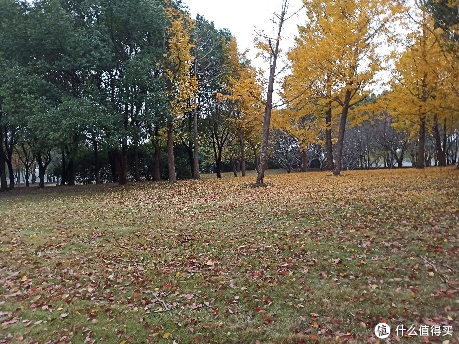 上海交通大学闵行校区东川路800号（迪卡侬套装）淡水河桥儿童车骑行快乐