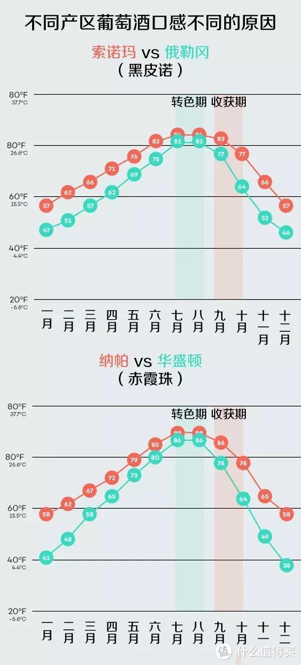 柏觅红酒 | 酒标上的这四条信息，帮你过滤50%不合适你的酒